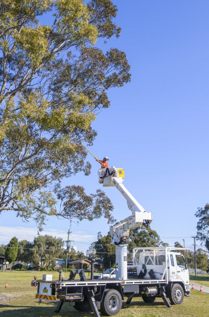 150715_TreeServe_©RSM_0895HR 2