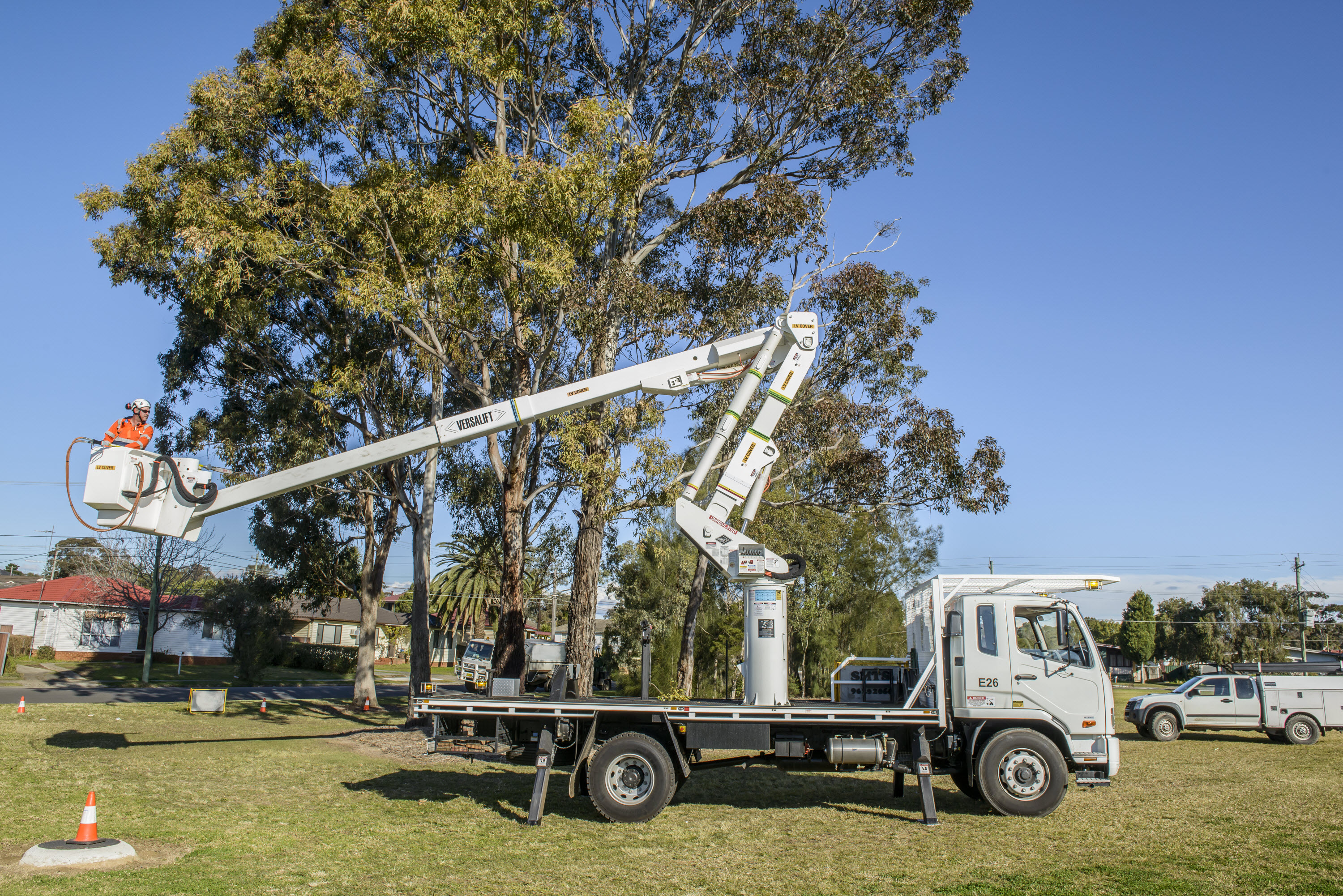 150715_TreeServe_©RSM_1034HR