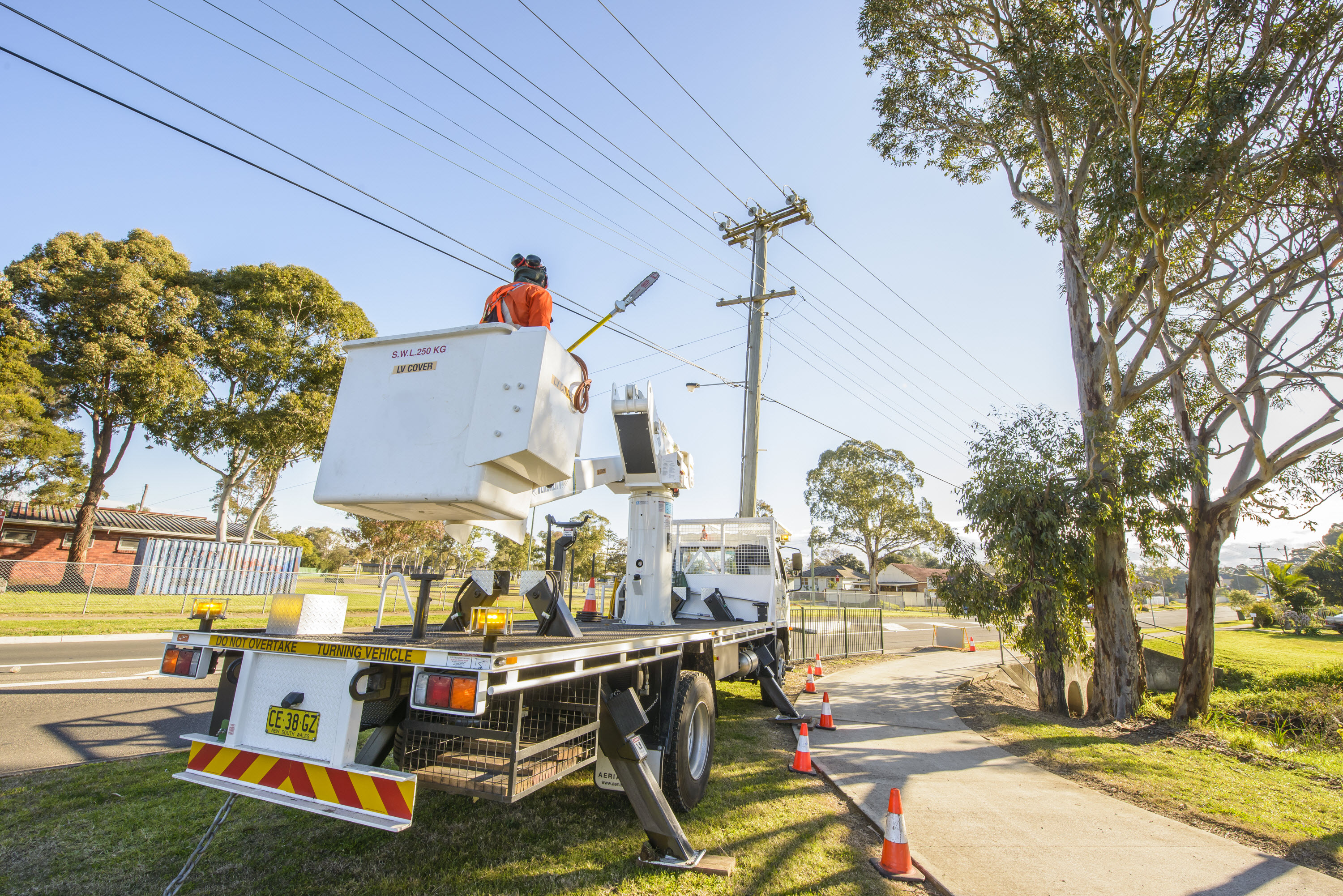 150715_TreeServe_©RSM_1179HR